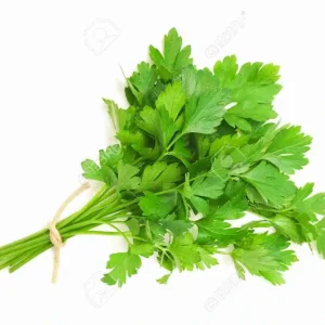 CERTIFIED ORGANIC Italian Parsley Bunch